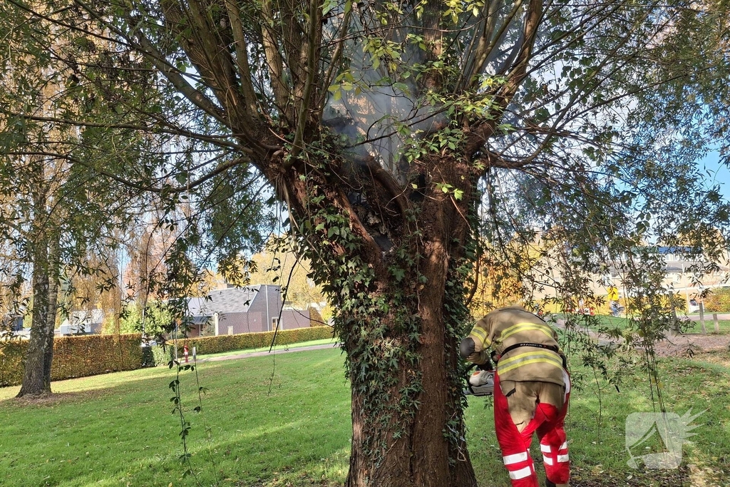 Boombrand trekt publiek