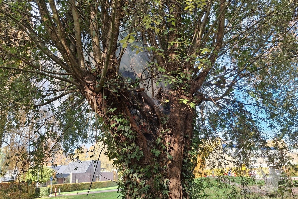 Boombrand trekt publiek