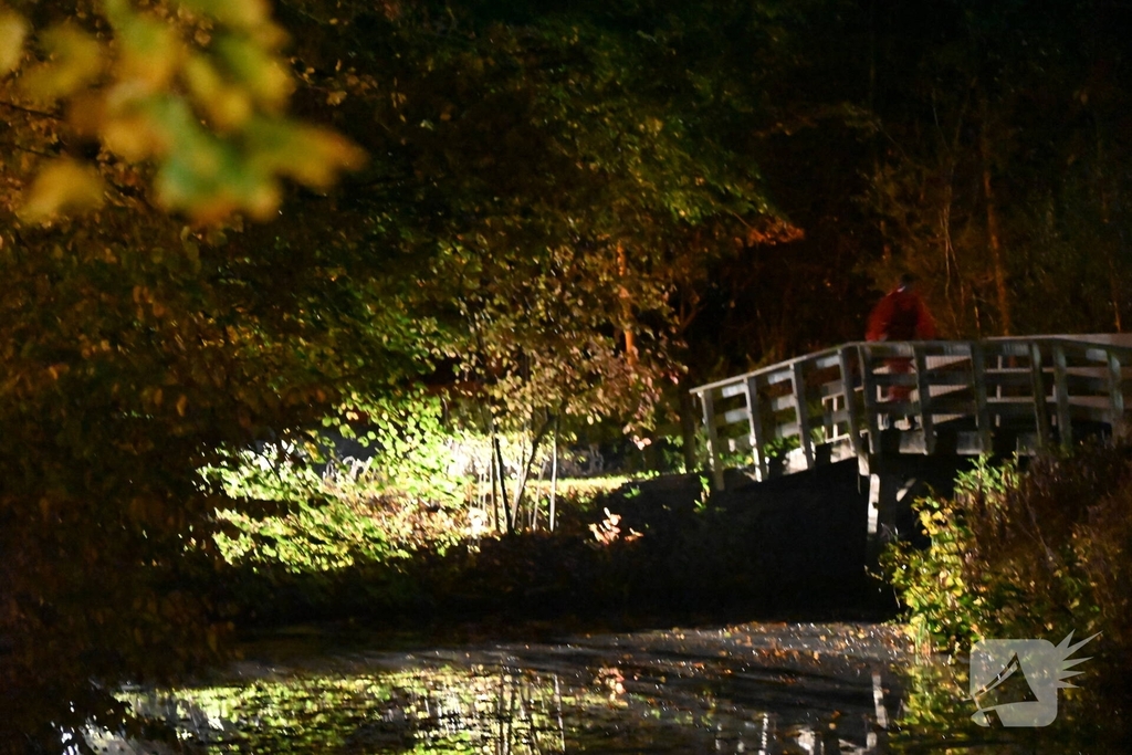Hulpdiensten ingezet voor persoon te water
