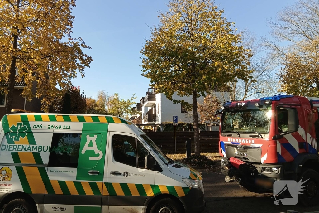 Vogel vast in speeltoestel, hulpdiensten ingezet