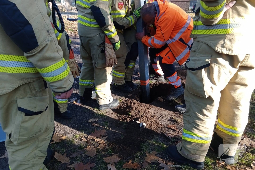 Vogel vast in speeltoestel, hulpdiensten ingezet