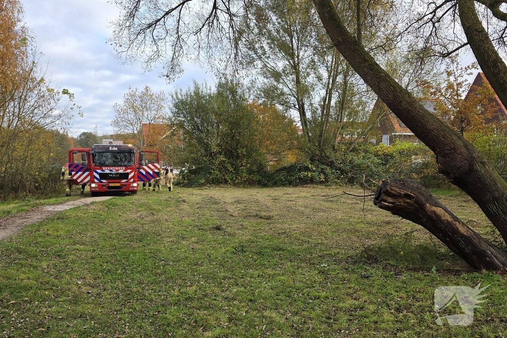 Brandweer blust brand in boomstronk