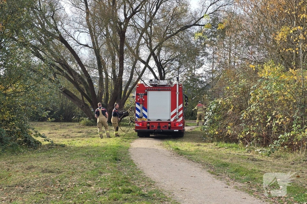 Brandweer blust brand in boomstronk