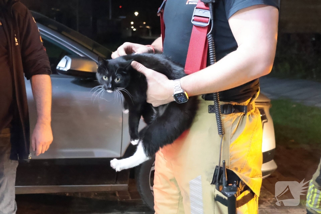 woningbrand door vlam in pan