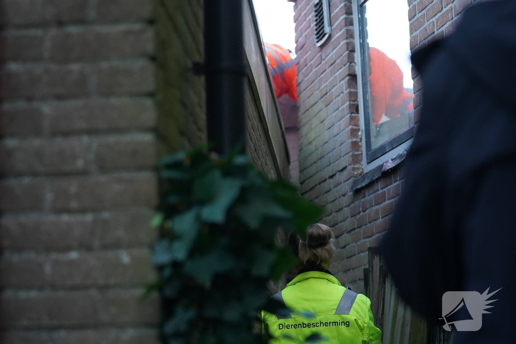 Brandweer in actie voor beknelde kat