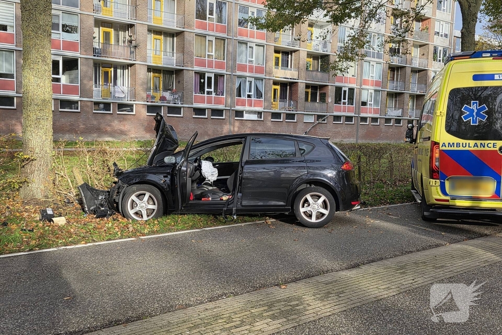 Bestuurder botst frontaal tegen boom