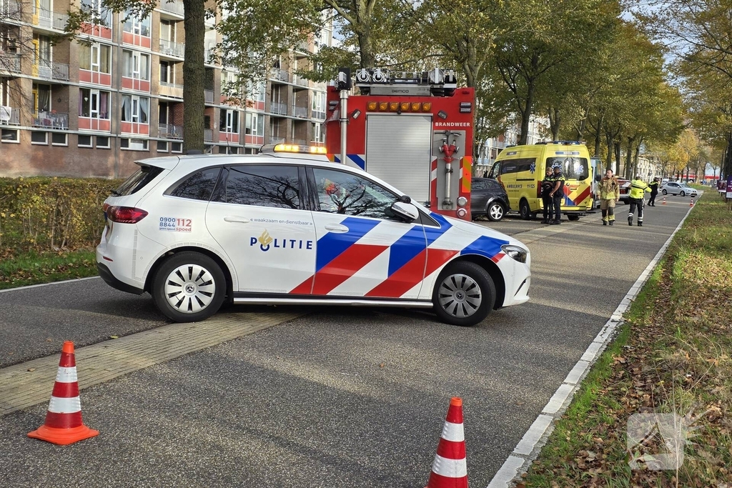 Bestuurder botst frontaal tegen boom