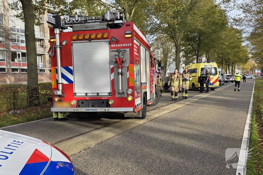 Bestuurder botst frontaal tegen boom