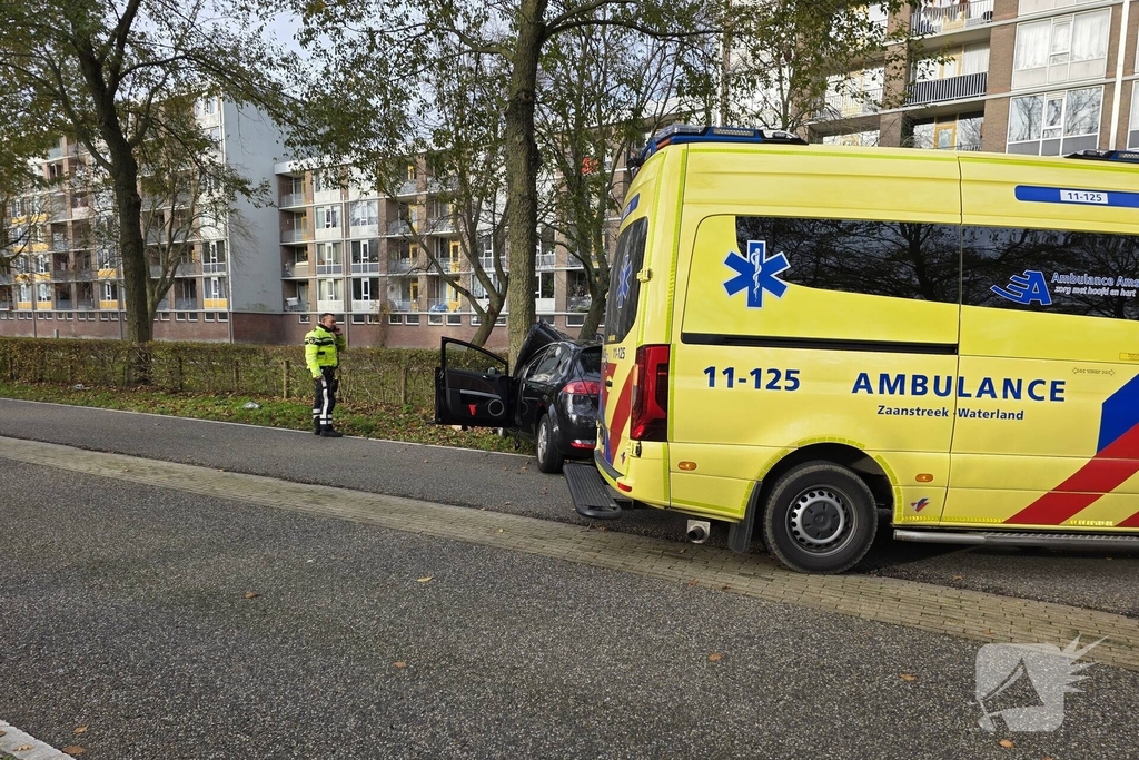 Bestuurder botst frontaal tegen boom