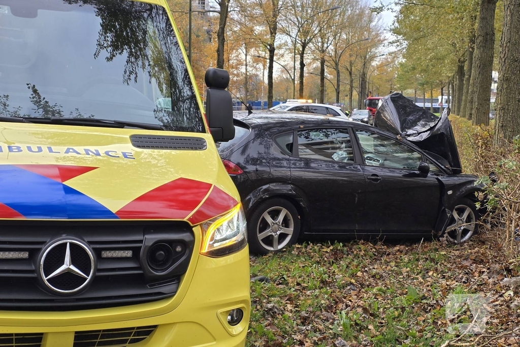 Bestuurder botst frontaal tegen boom