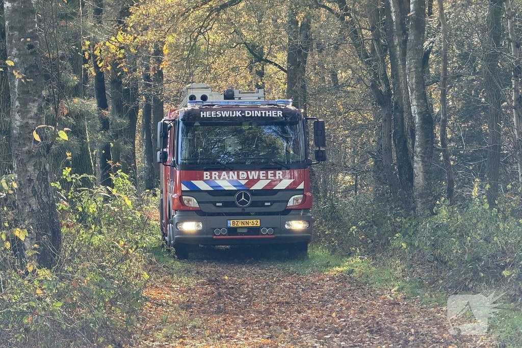 Brand verwoest bosgebied