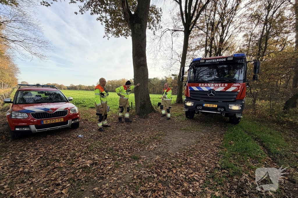 Brand verwoest bosgebied