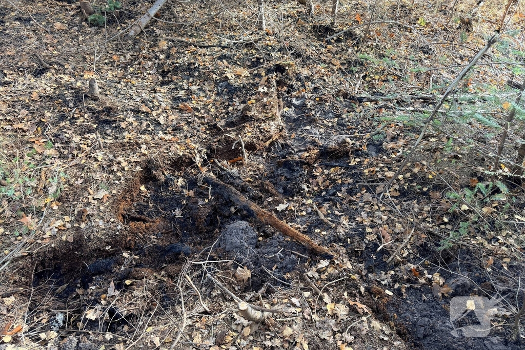 Brand verwoest bosgebied