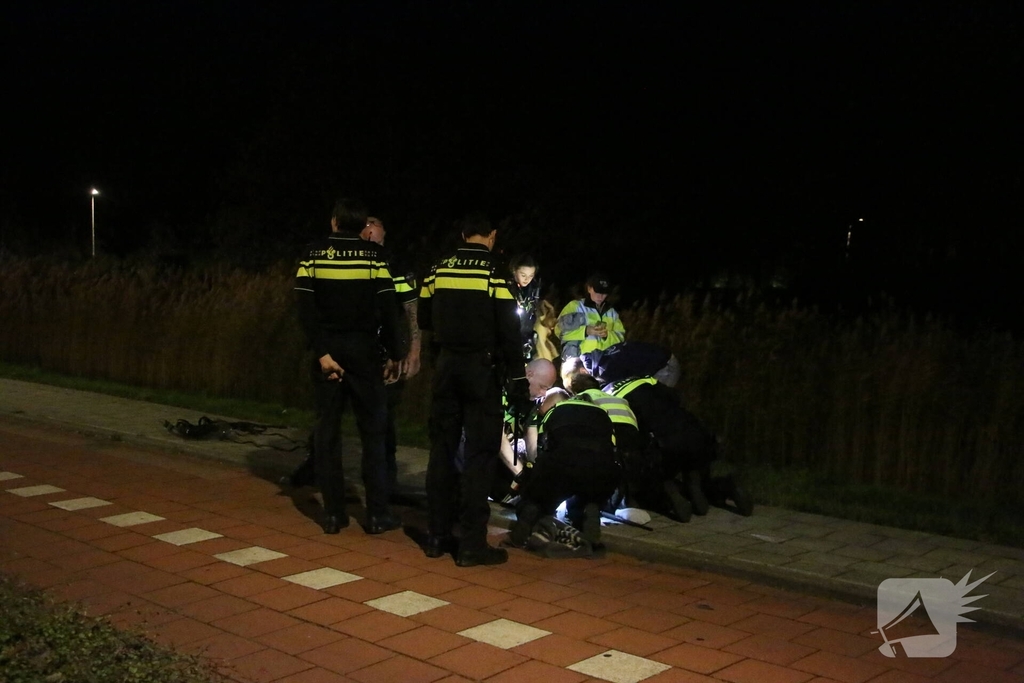 Ontsnapte emoe houdt politie bezig