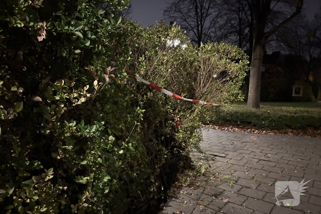 Melding autobrand blijkt heg in brand