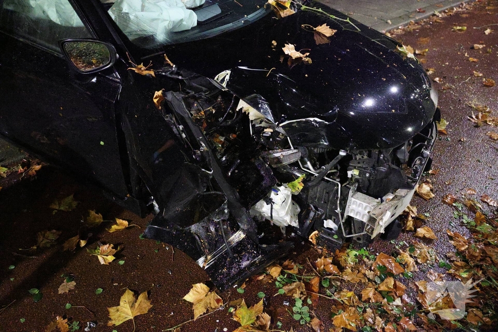 Auto botst tegen boom na uit de bocht vliegen