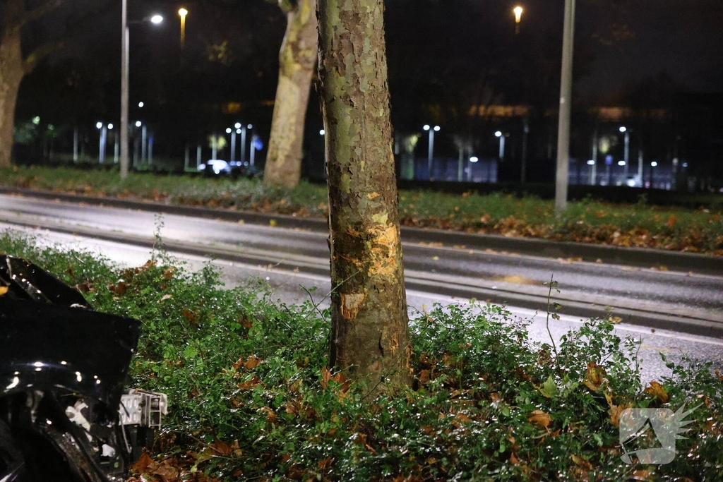 Auto botst tegen boom na uit de bocht vliegen