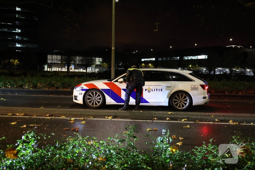 Auto botst tegen boom na uit de bocht vliegen