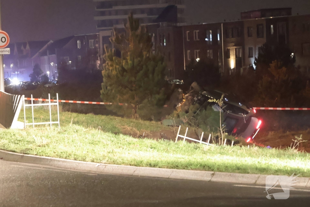 Bestuurder overlijdt na ongeval