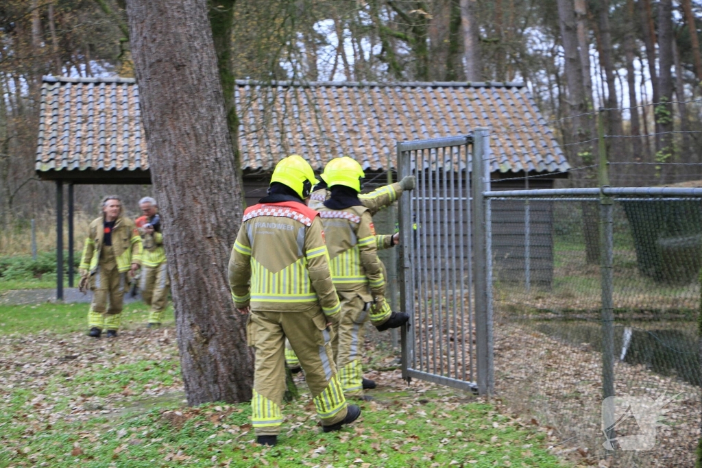 Brandweer en politie redden ree uit poel