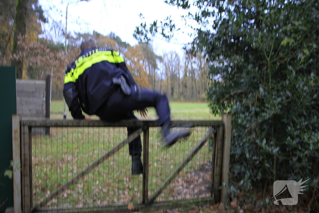 Brandweer en politie redden ree uit poel