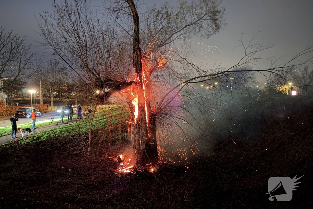 Buitenbrand verwoest boom