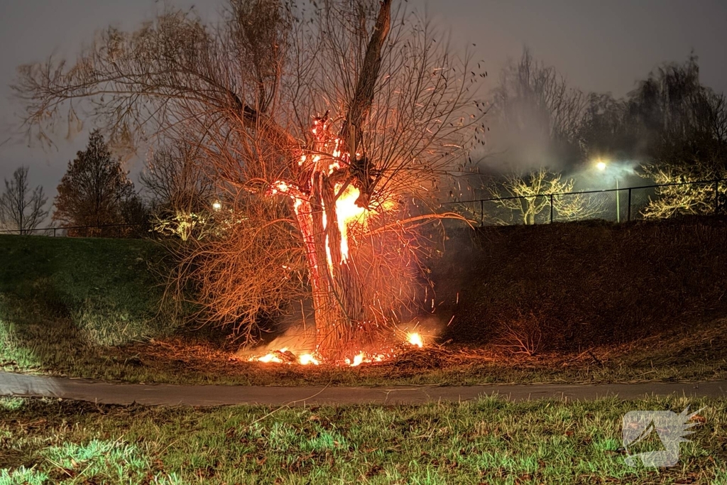 Buitenbrand verwoest boom
