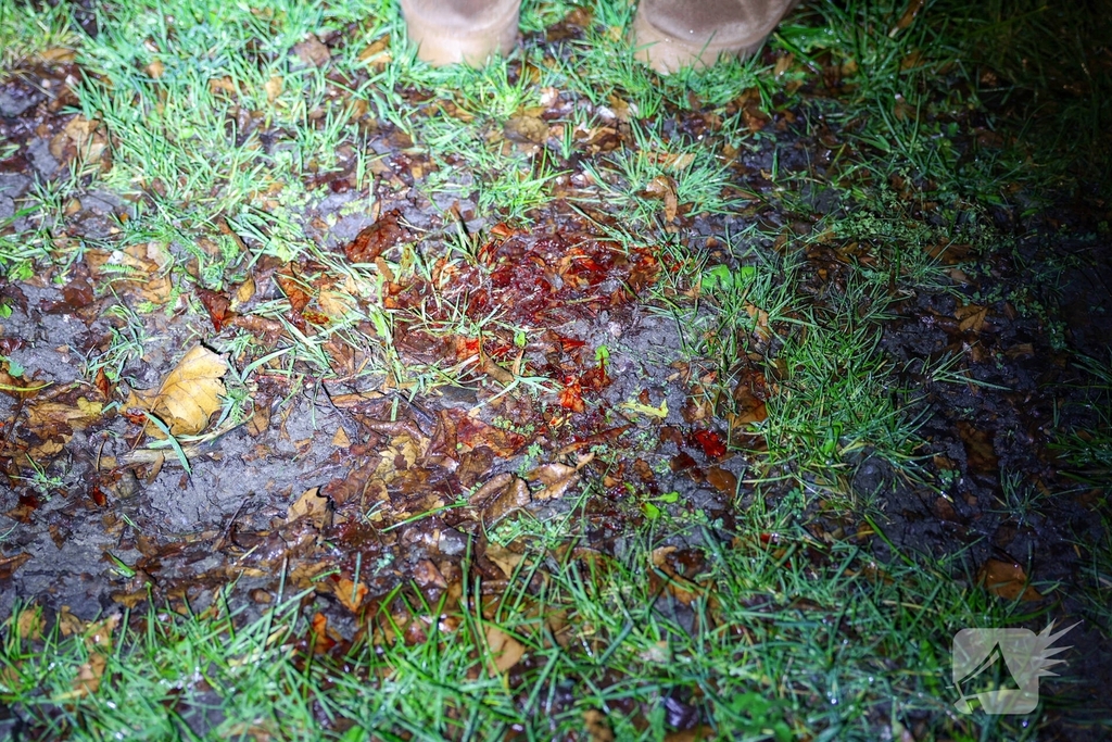 Fietser vliegt door rood bij Pompenburg en verliest tanden na harde botsing