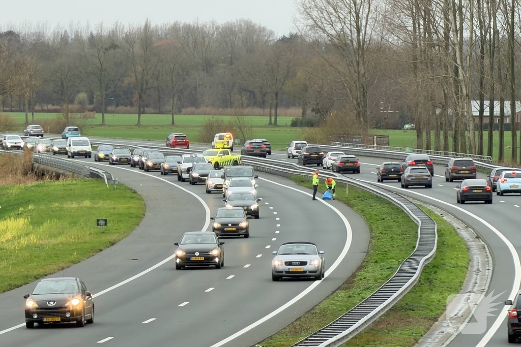 Hond overleden na aanrijding met auto