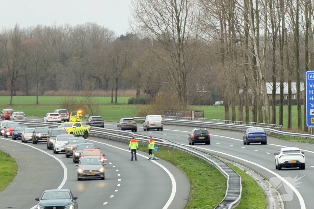 Hond overleden na aanrijding met auto