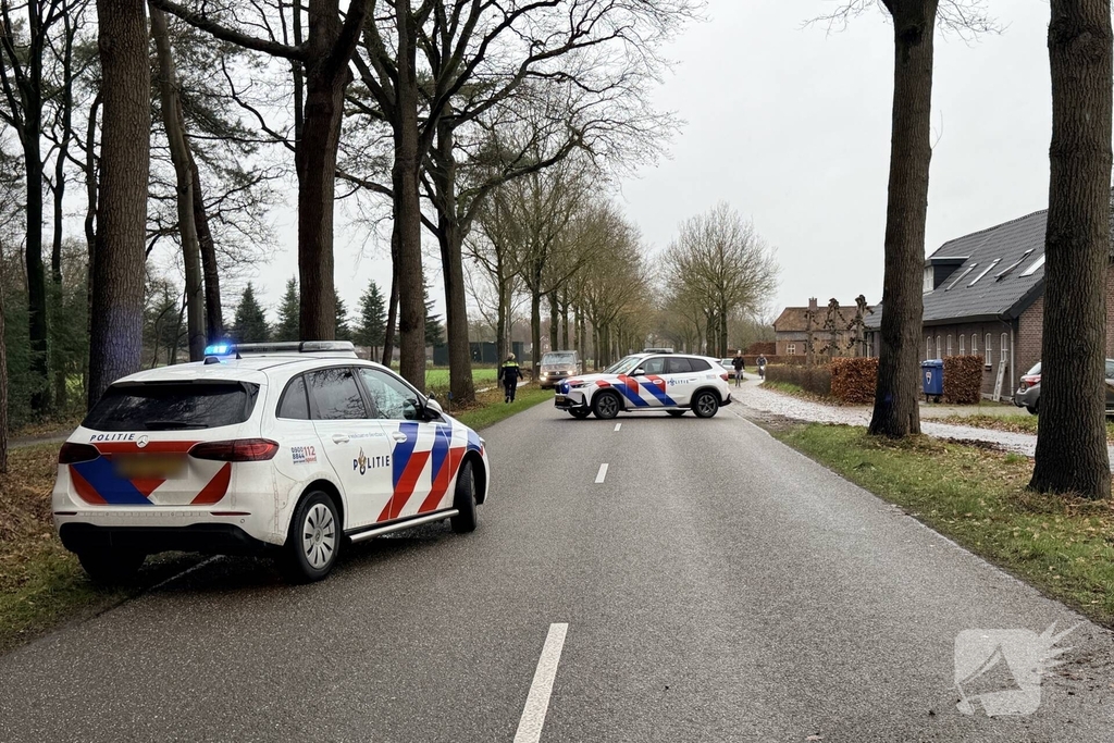 Auto botst op boom en bestuurder raakt bekneld