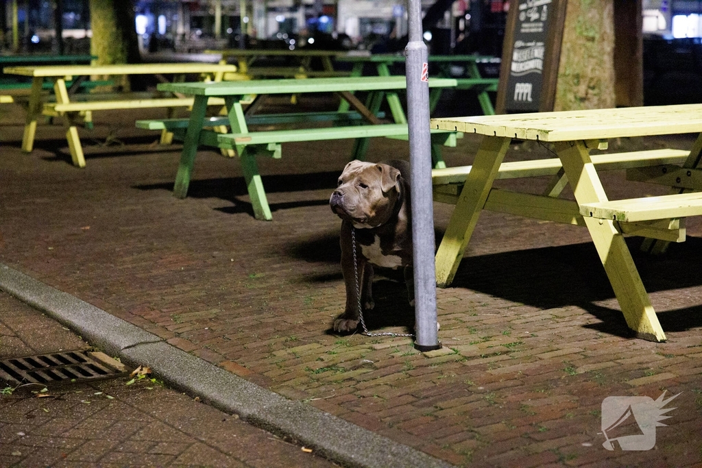 Steekincident leidt tot ziekenhuisopname