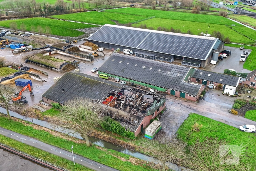 Paarden gered na brand in loods