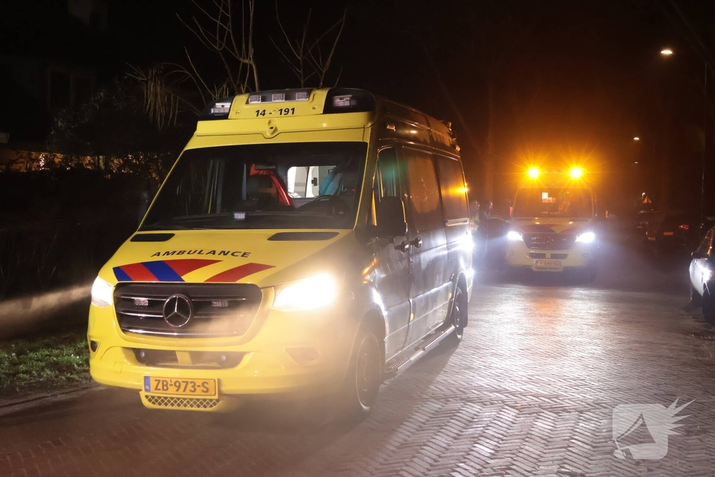 Auto botst tegen boom in de nacht