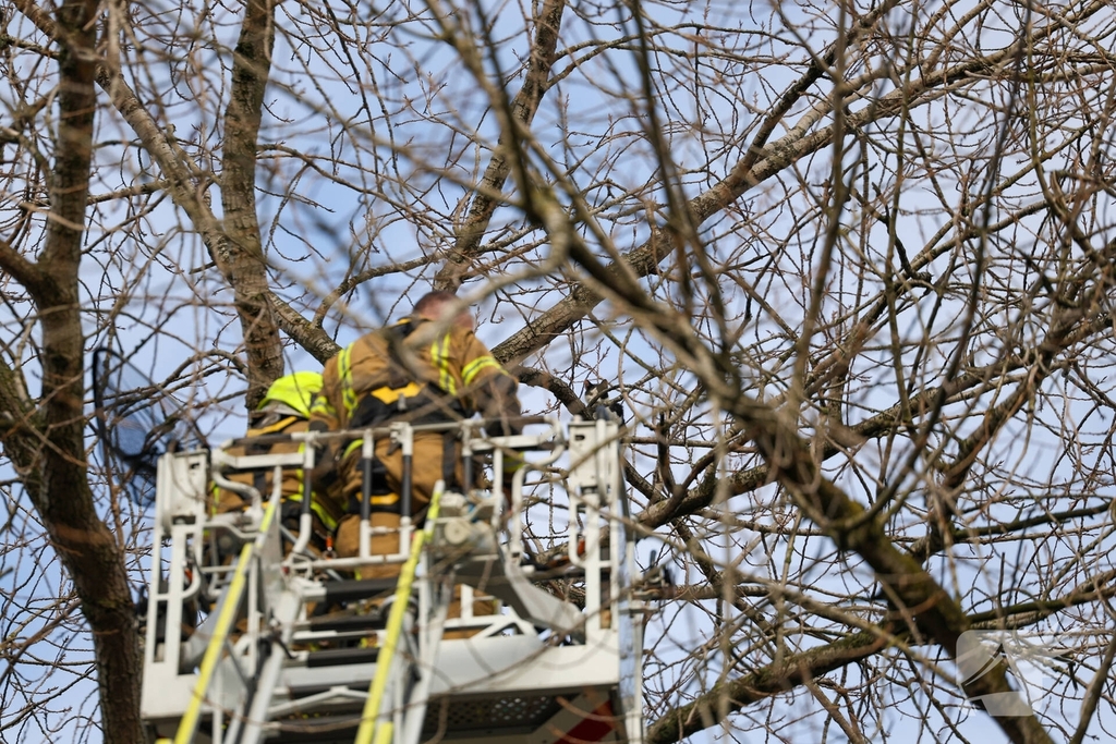 Kattenredding leidt tot tijdelijke verkeershinder