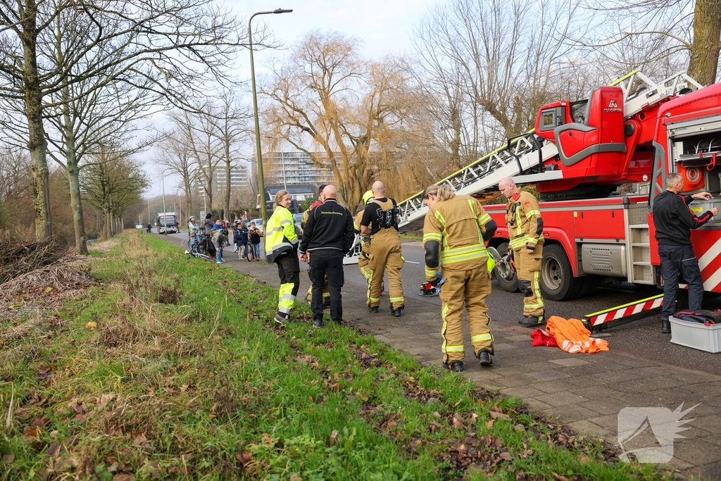 Kattenredding leidt tot tijdelijke verkeershinder