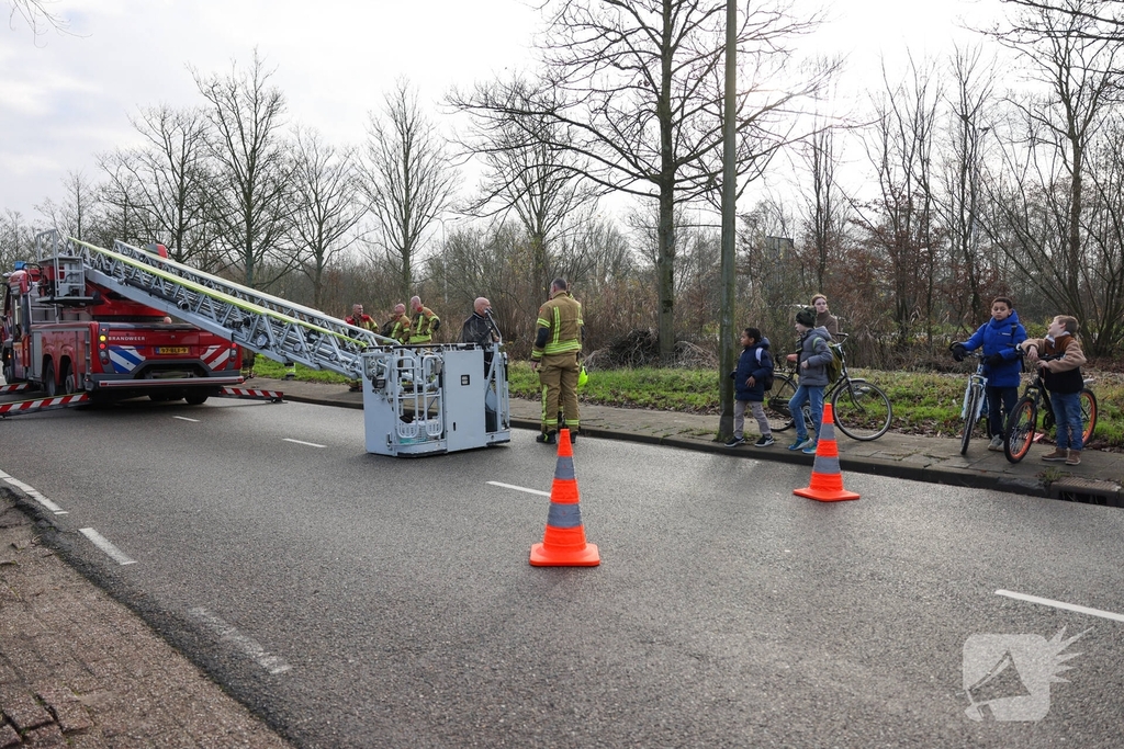 Kattenredding leidt tot tijdelijke verkeershinder