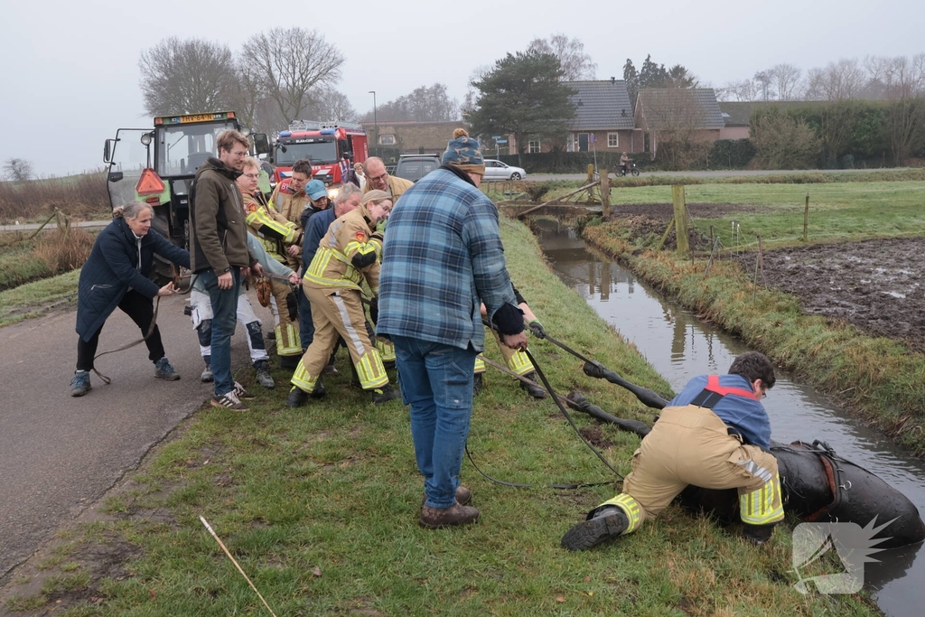 Paard valt in sloot tijdens oefening