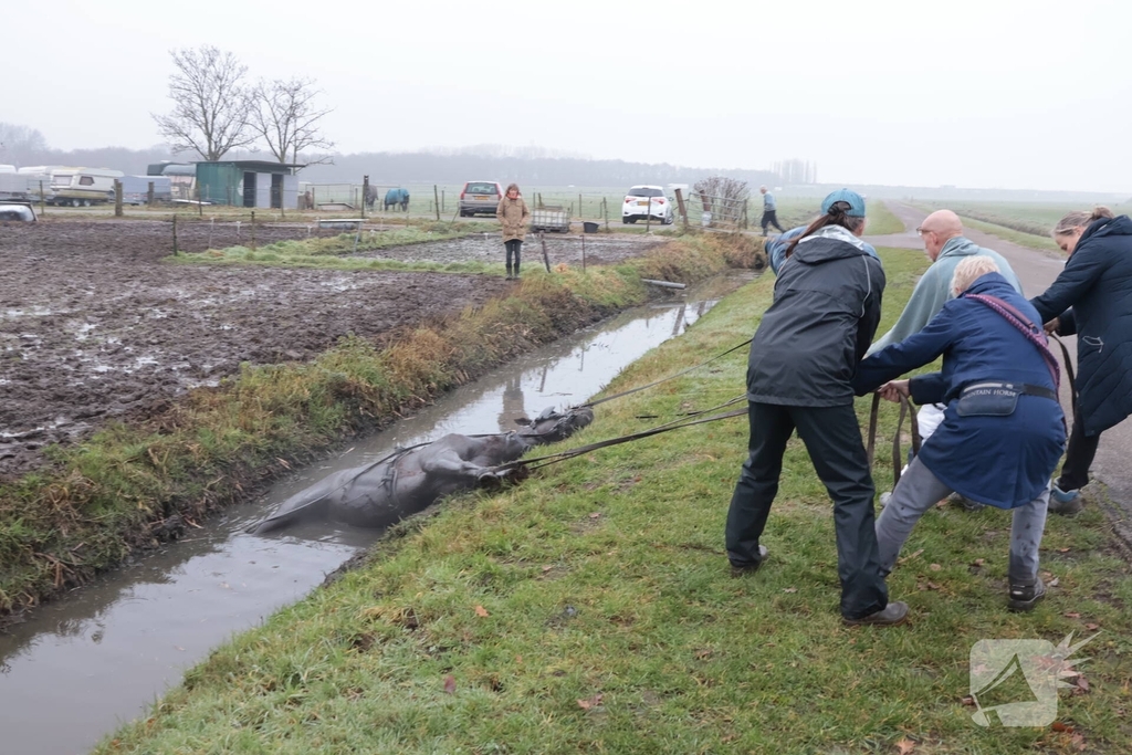 Paard valt in sloot tijdens oefening