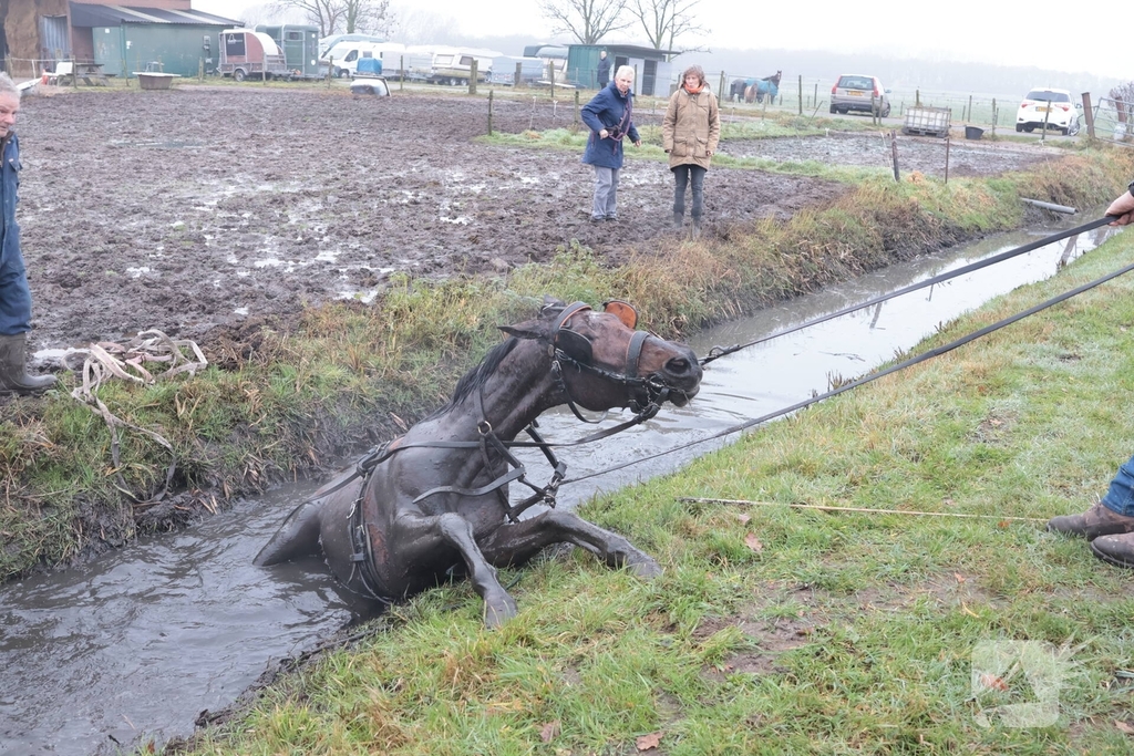 Paard valt in sloot tijdens oefening
