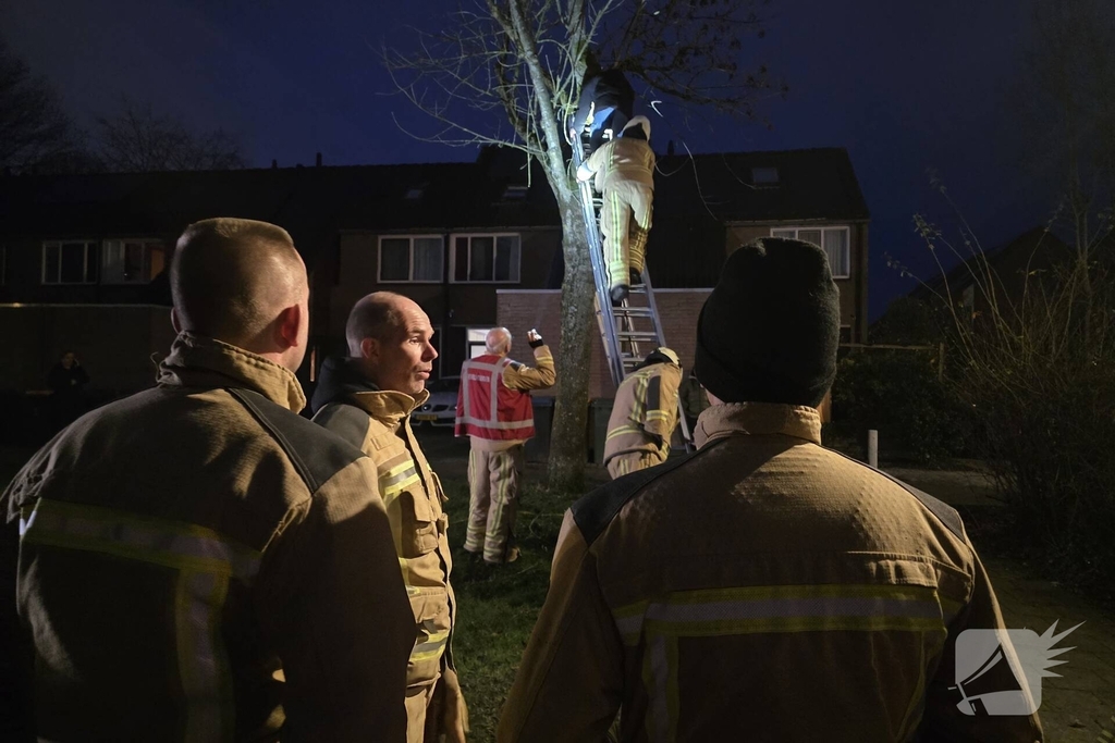 Jongen vast in boom tijdens drone-redding