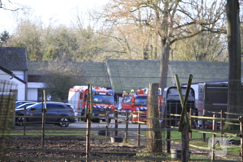 Brandweer redt kat uit boom