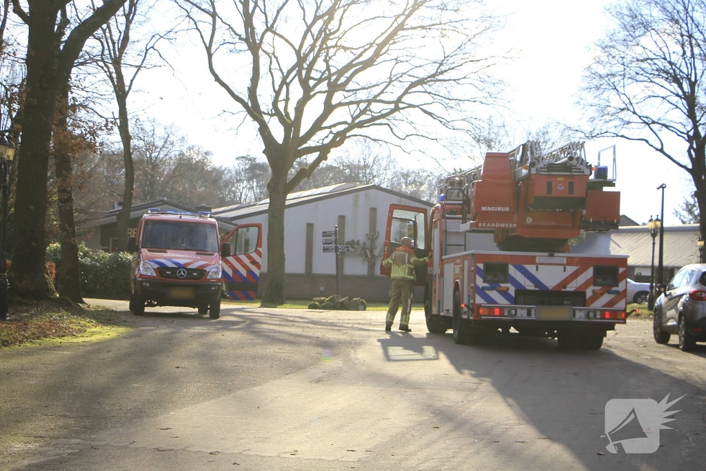 Brandweer redt kat uit boom