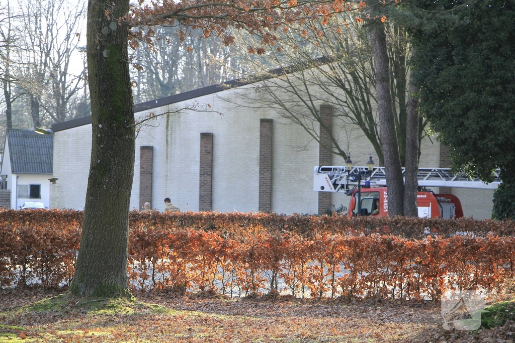 Brandweer redt kat uit boom