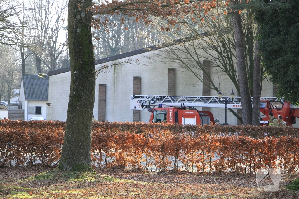 Brandweer redt kat uit boom