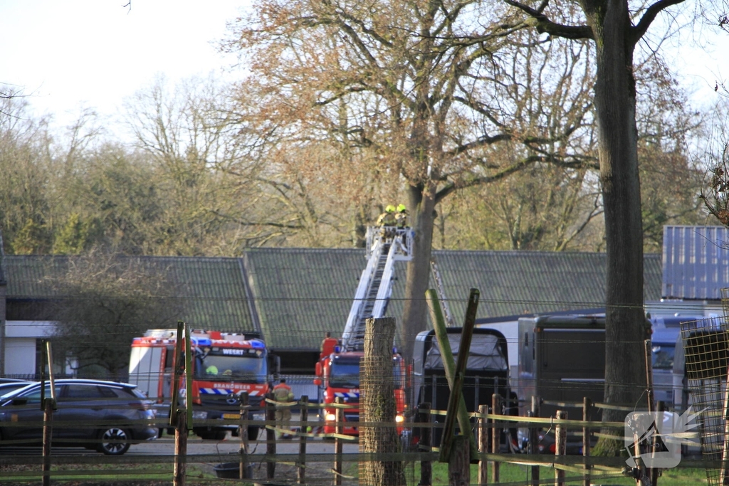 Brandweer redt kat uit boom