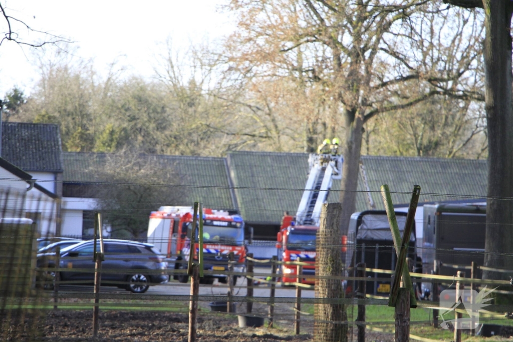 Brandweer redt kat uit boom