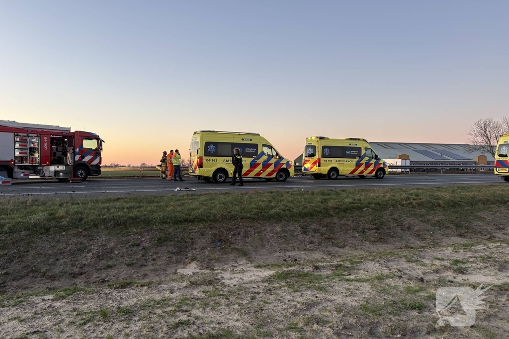Verkeersongeval door loslopende hond op snelweg