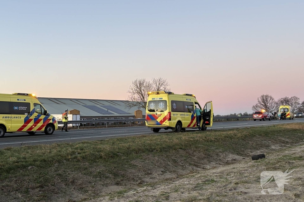 Verkeersongeval door loslopende hond op snelweg