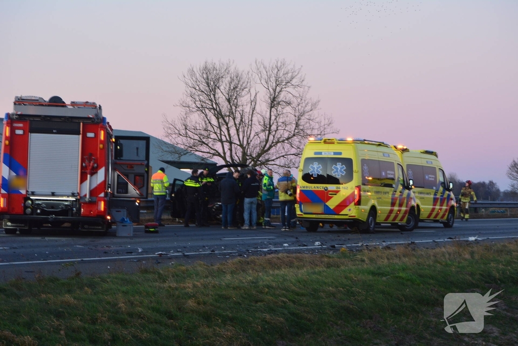 Verkeersongeval door loslopende hond op snelweg